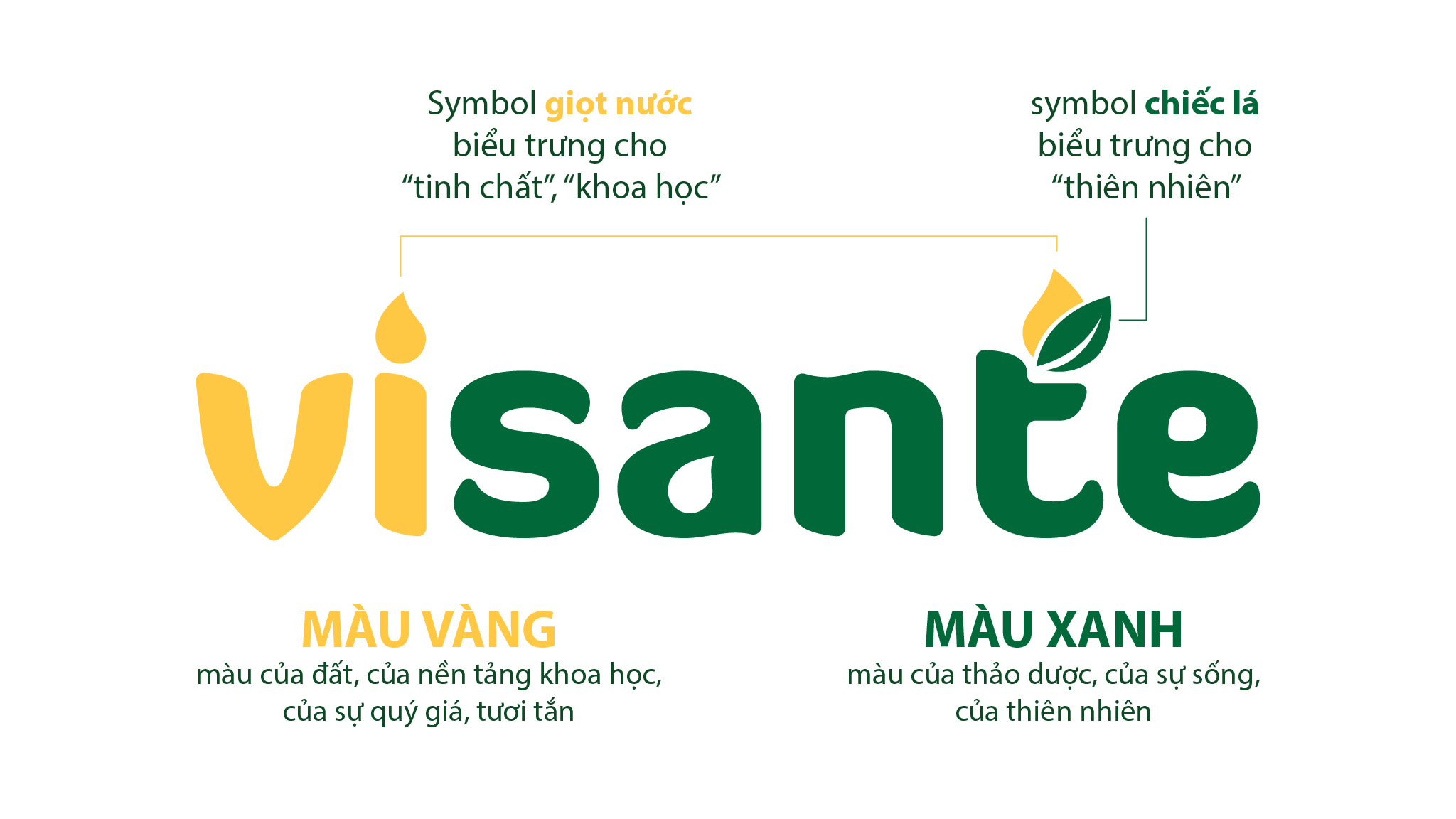 Về chúng tôi visante