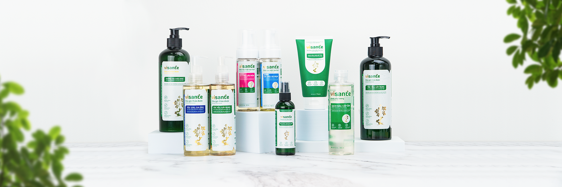 giới thiệu visante